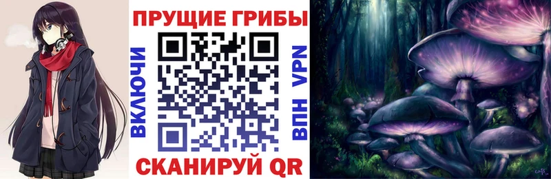 Псилоцибиновые грибы GOLDEN TEACHER  Снежногорск 