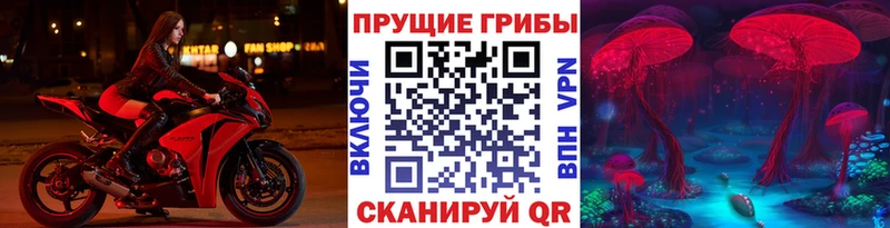 Псилоцибиновые грибы GOLDEN TEACHER Снежногорск