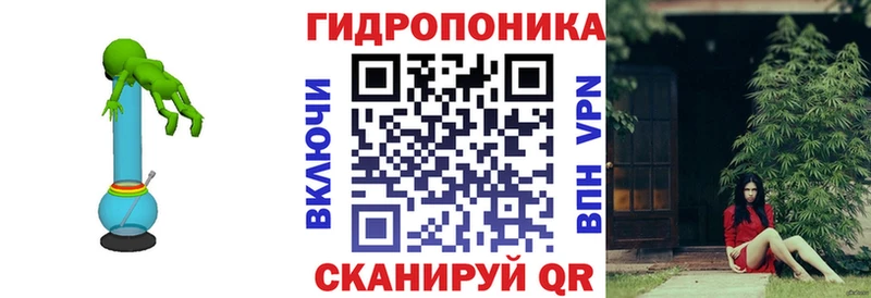 Бошки Шишки ГИДРОПОН Снежногорск